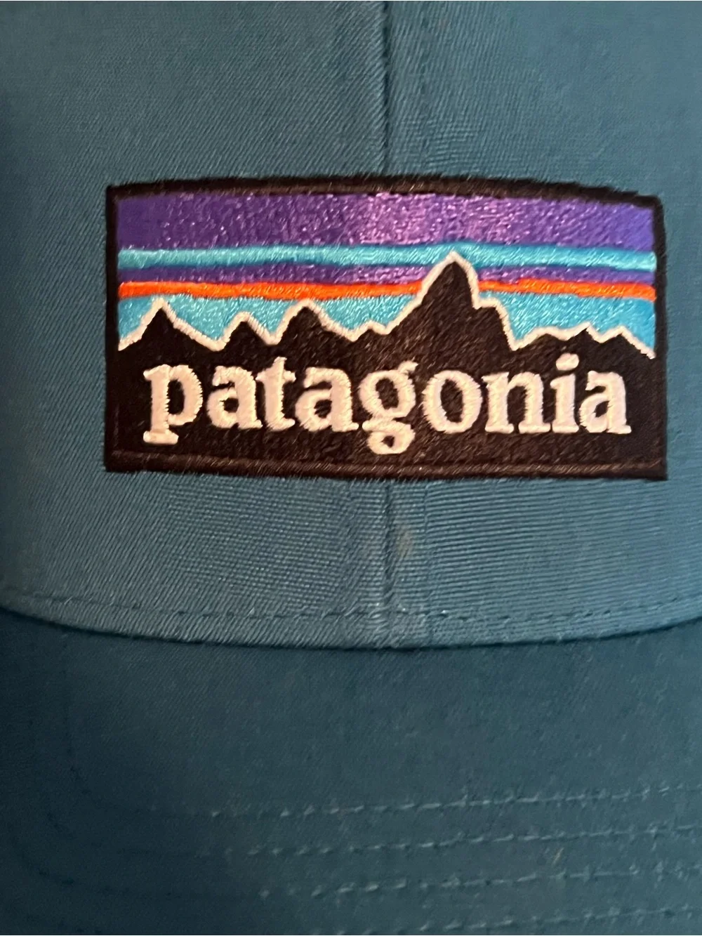 Patagonia P-6 Relaxed Trucker Hat